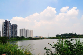 ��Ȼ�羰�羰��ľ������ˮ