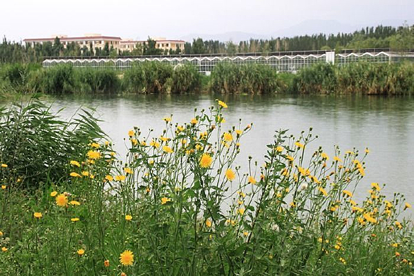 ����С��