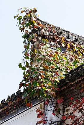 ��ǽ����ͷǽ