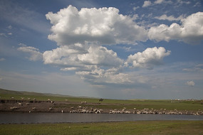 ��ԭ������Ⱥ