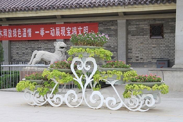 ��ֲ��軨