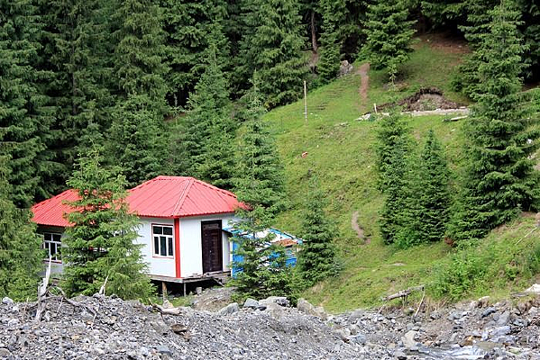 ʯ������