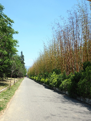 ����Ȫ�ĺ���