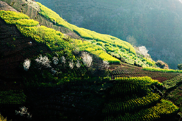 ��Ƭ�Ͳ˻���