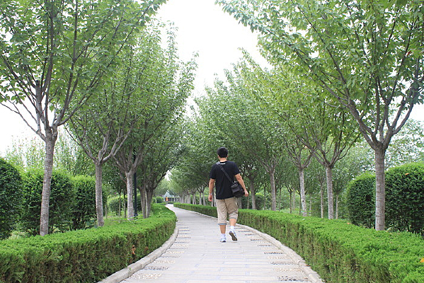 ����������Ӱ