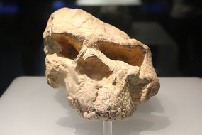 ����ʡ�����ͷ��