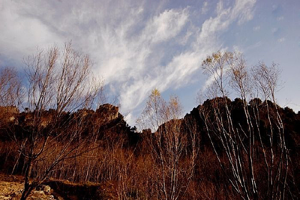 ��Ȼ���ɽ��ֲ��