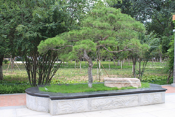 ֲ��԰����