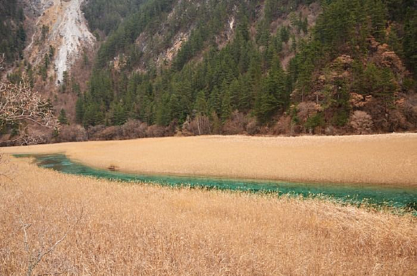 ����ɫ��«έ