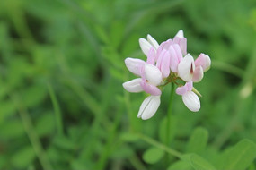 �ݴ��е�С��