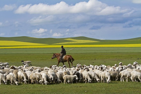 ��ԭ����ͼ