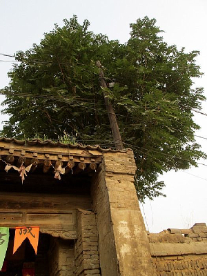 �������Ϸ���