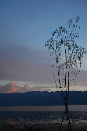 ���ߵĿ���