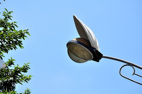 ����·����֦