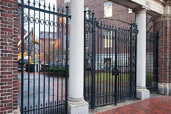 ������ʿ