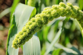 ũ�������