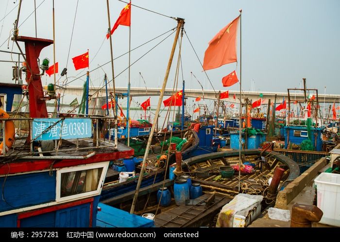 天津北塘渔港停泊的渔船