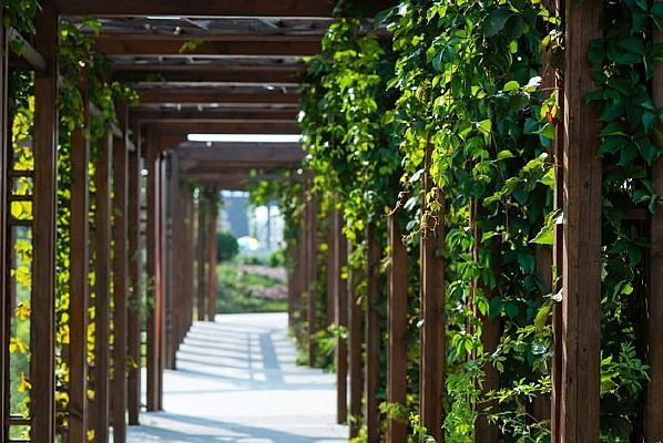 ʪ�ع�԰�ȵ�