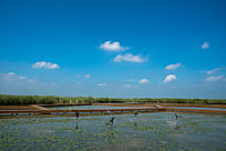 �ɺ�����