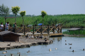 ҰѼ��ʪ�ع�԰