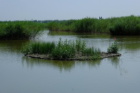 ʪ�ع�԰С��