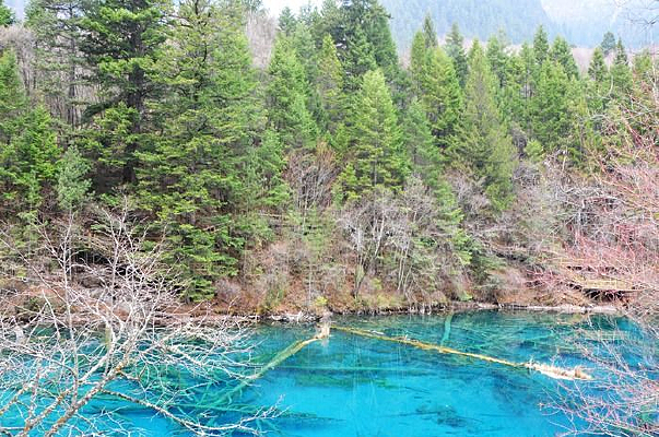 ������֦