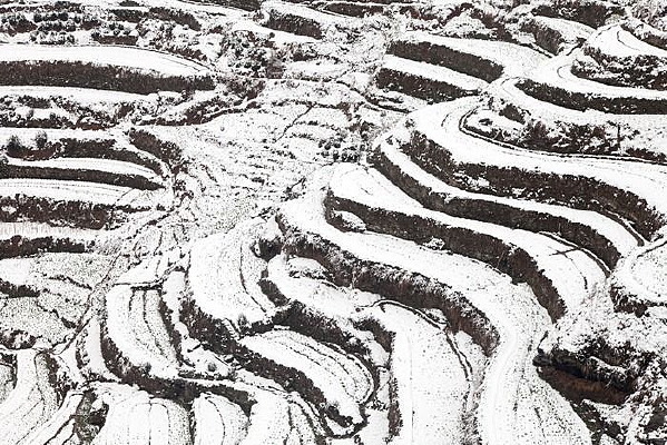 ѩ������