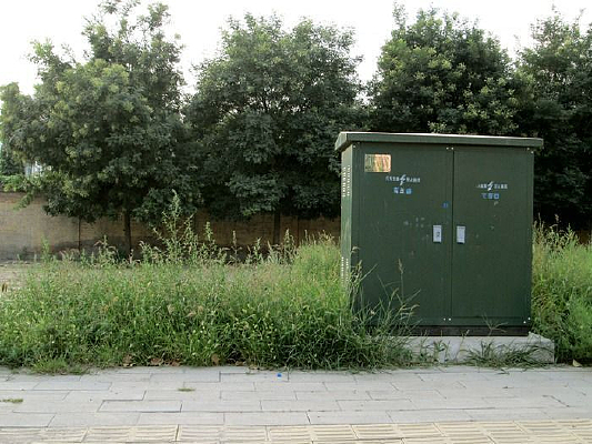 ��ɫ����