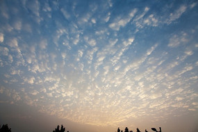 ��ϼ����