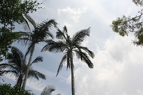 ������Ҭ����