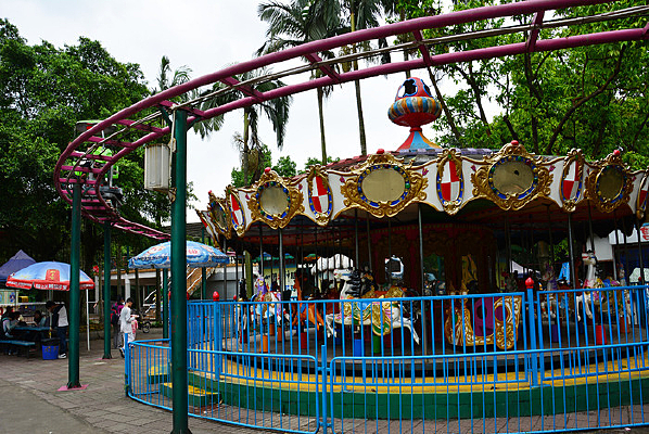 ����ľ��