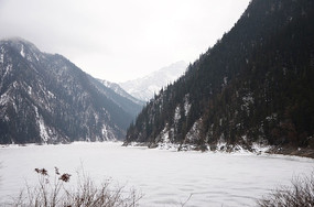 ��������կ