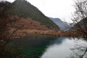 ���﹵����