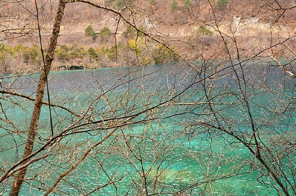 ��������⾰ɫ