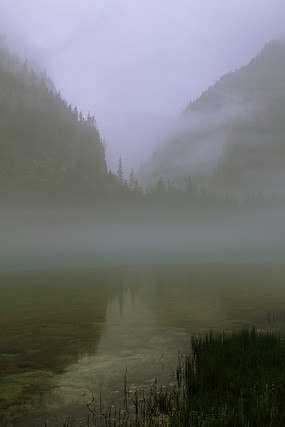 ͯ����կ��