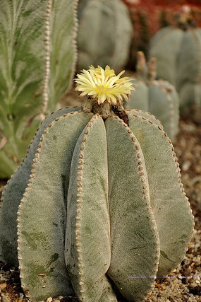 ������������������