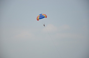 ������ɡ