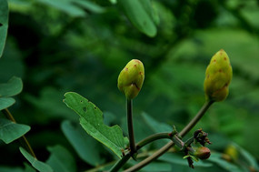 ��Ծ����Ļ�