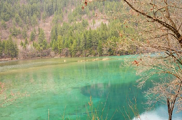 ����ʯ��