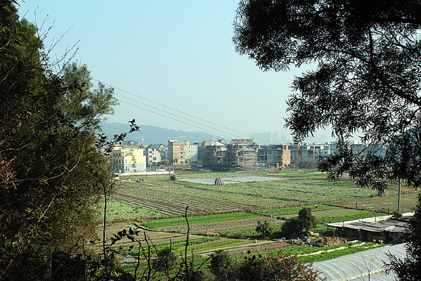 ɽ������