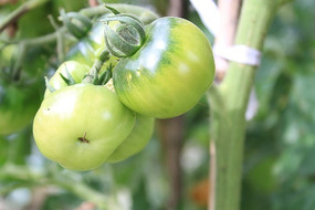 δ���������