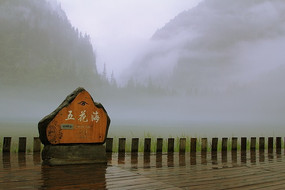 ��կ�廨��