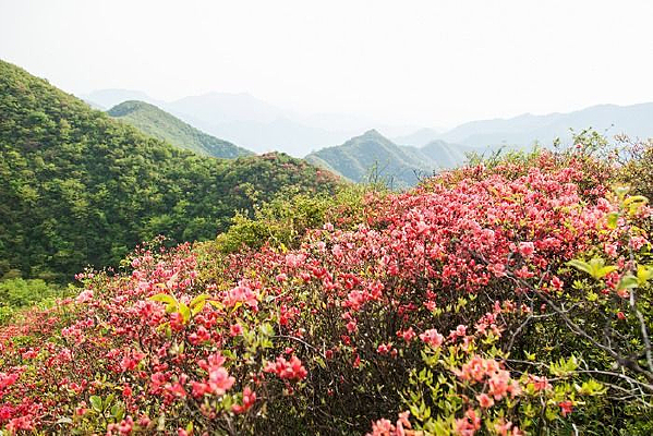 �ž�����