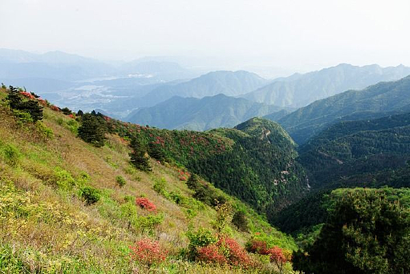 �����Դ�ɫ