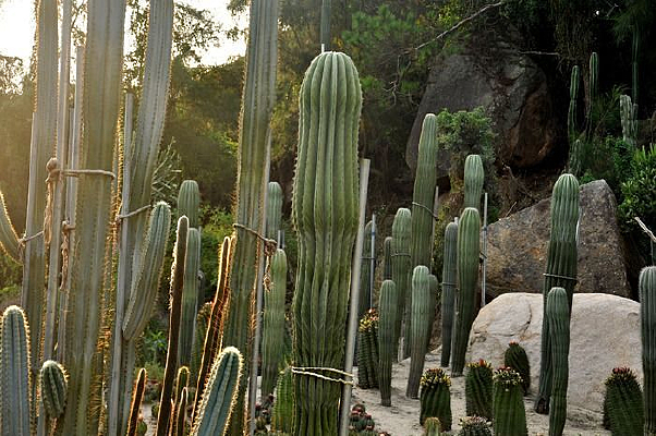 Ϧ���µ�������