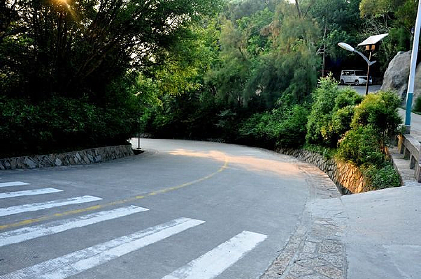 Ϧ���µİ�����