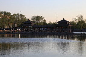 Ϧ��������