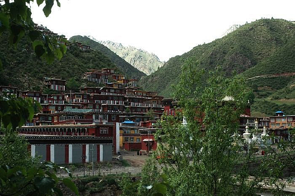 ������ɫ