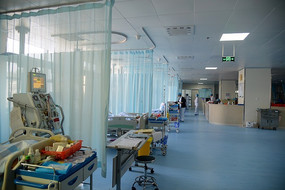 ҽ������