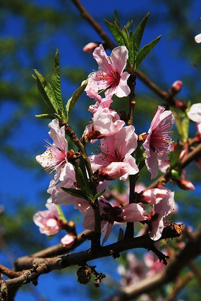 �ۺ���һ���